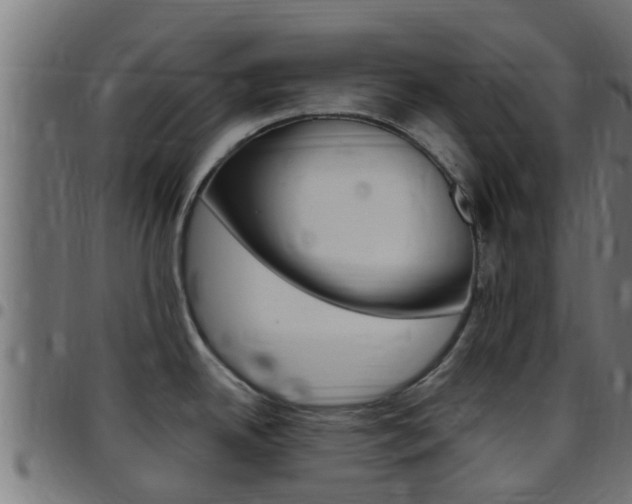 X0000097791342200803070927
