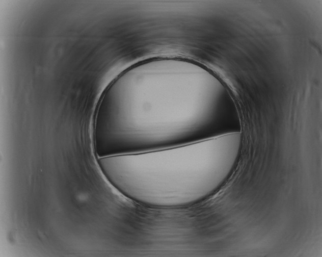 X0000097791343200803070927