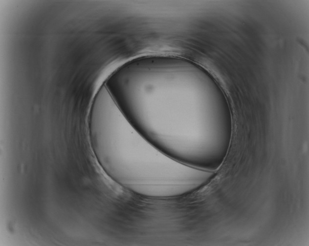 X0000097791344200803070927