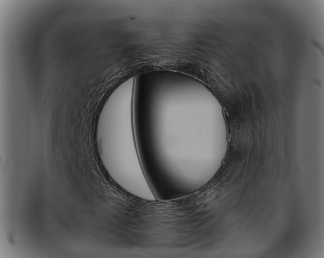 X0000097791345200803070926