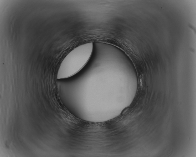 X0000097791347200803070926
