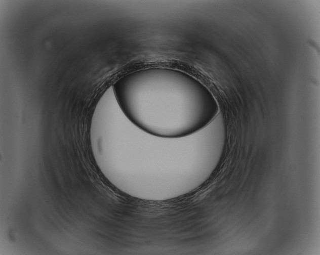 X0000097791348200803070926