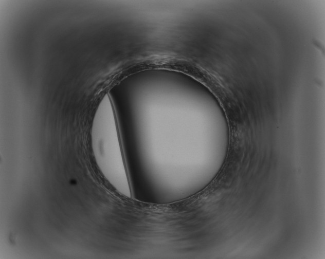 X0000097791349200803070926
