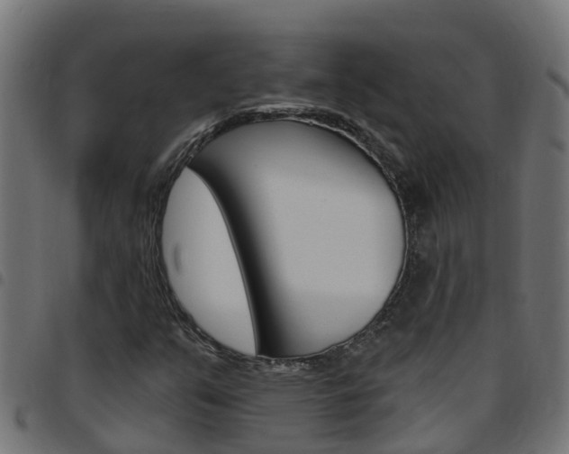 X0000097791351200803070926
