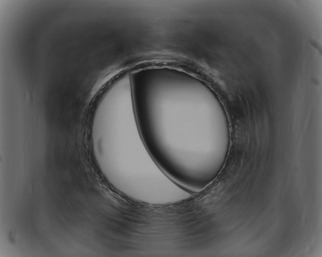 X0000097791352200803070926