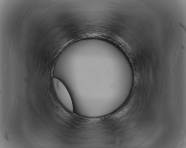 X0000097791353200803070926