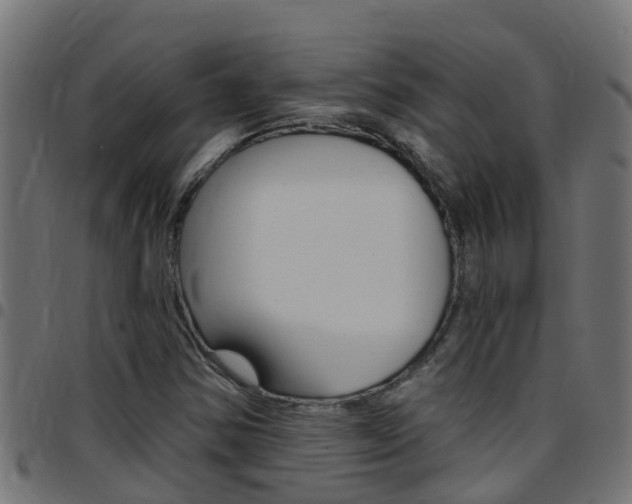 X0000097791354200803070926