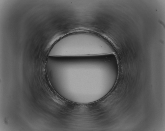 X0000097791355200803070926