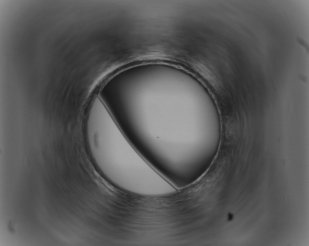 X0000097791356200803070926