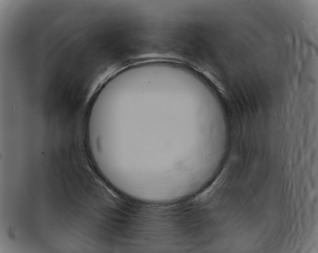 X0000097791357200803070926