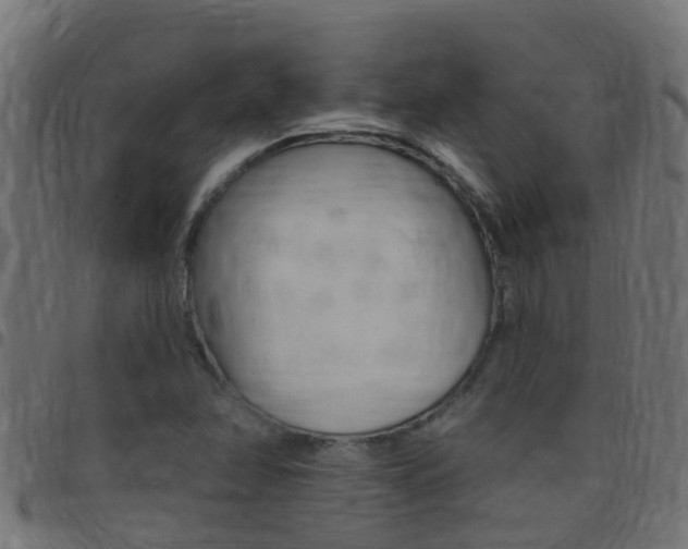 X0000097791358200803070926
