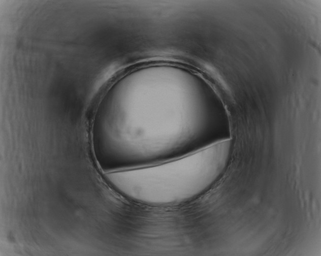 X0000097791360200803070926
