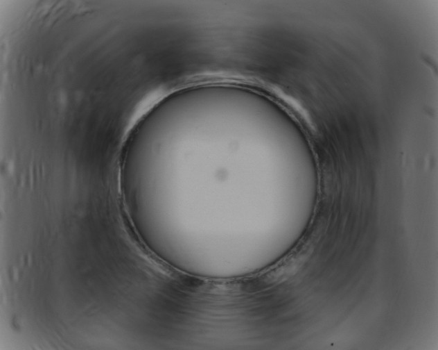 X0000097791365200803070926