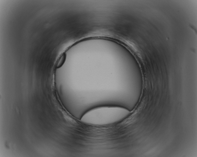 X0000097791366200803070926