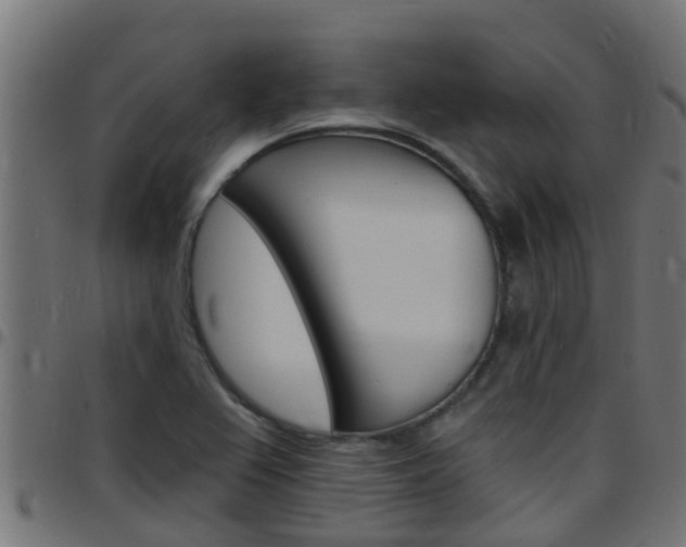 X0000097791367200803070926