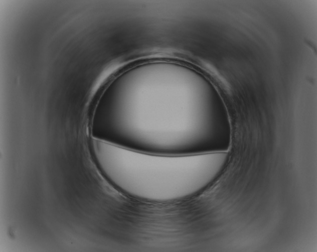 X0000097791368200803070926