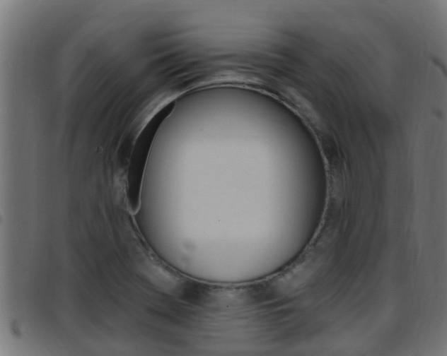 X0000097791369200803070926