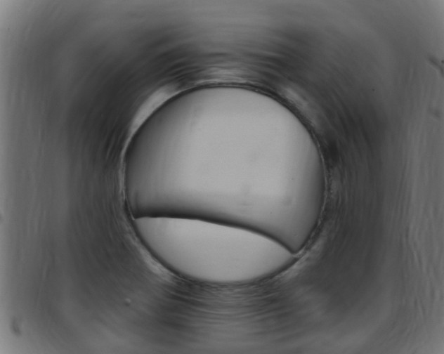X0000097791370200803070926