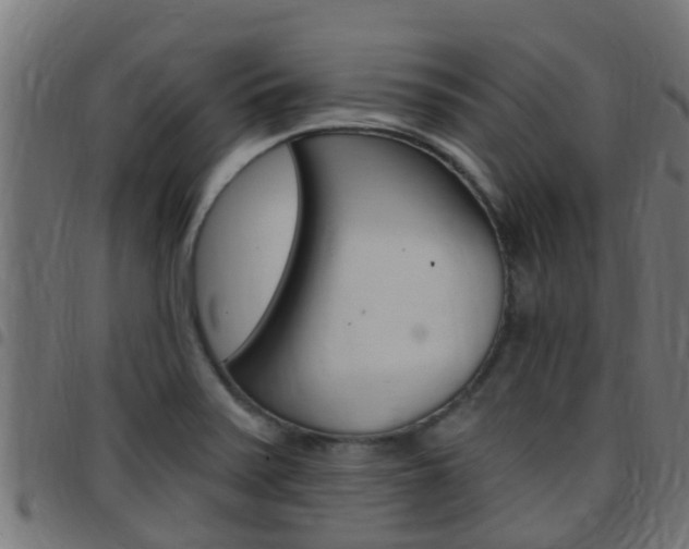 X0000097791371200803070926