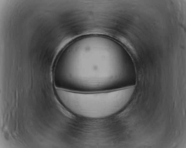 X0000097791372200803070926
