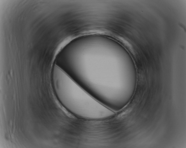 X0000097791373200803070926