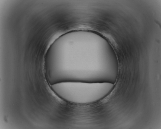 X0000097791374200803070926
