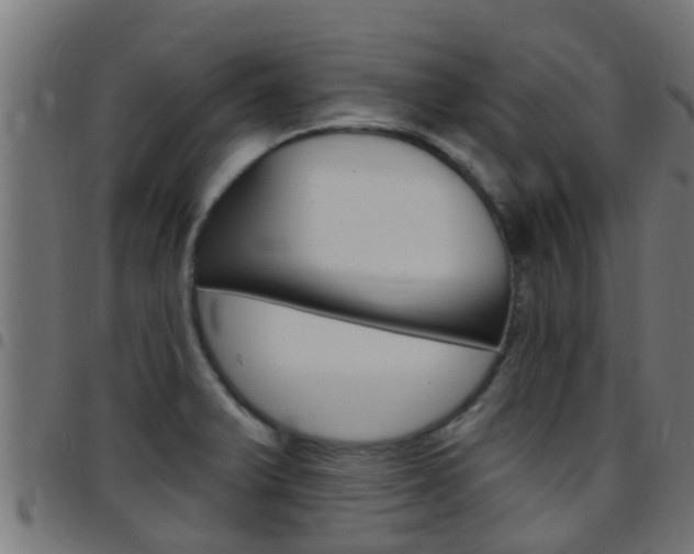 X0000097791375200803070926