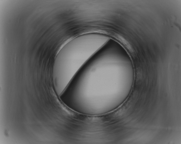 X0000097791377200803070926