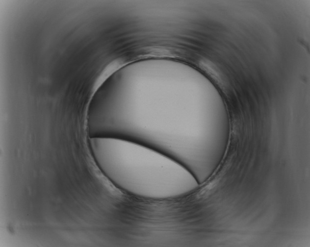 X0000097791378200803070926