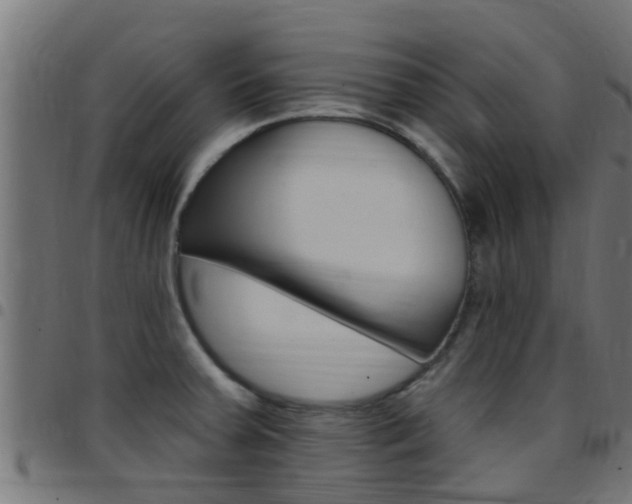X0000097791379200803070926