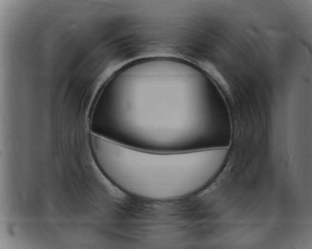 X0000097791380200803070926