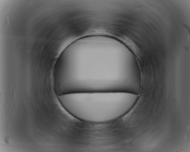 X0000097791382200803070926