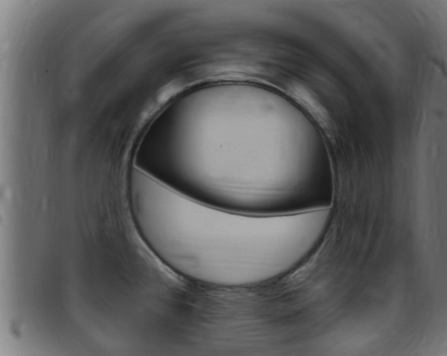 X0000097791384200803070926