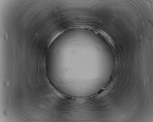 X0000097791385200803070926