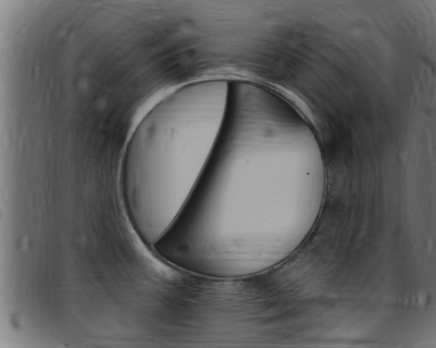 X0000097791387200803070926