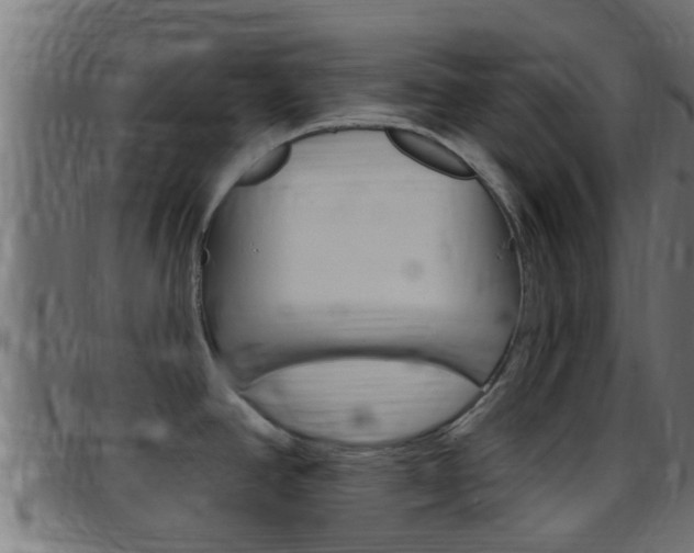 X0000097791390200803070925