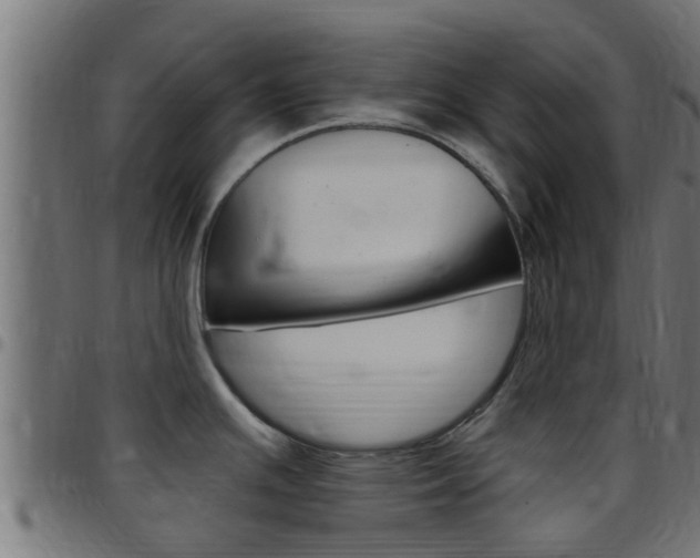 X0000097791391200803070925
