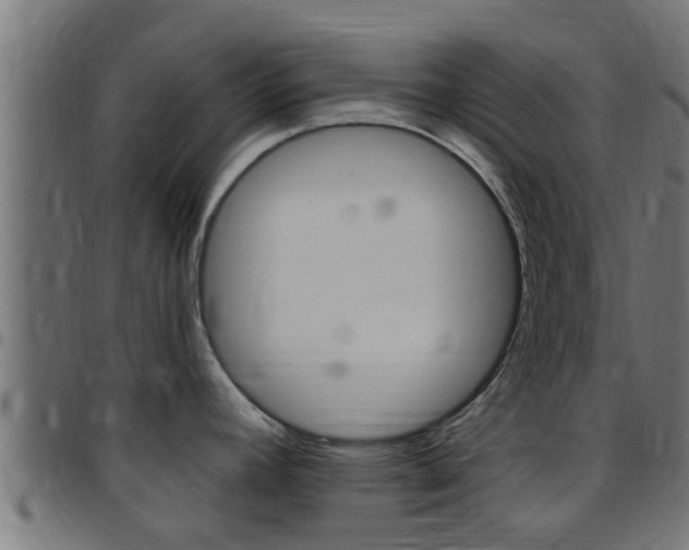 X0000097791392200803070925
