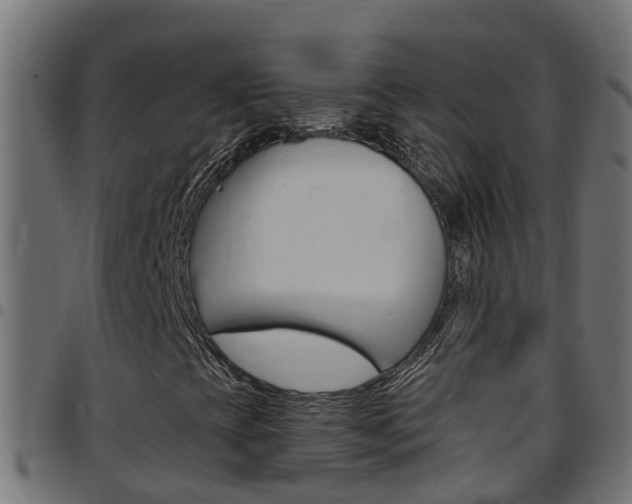 X0000097791393200803070925