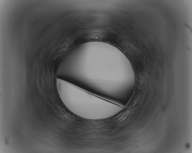 X0000097791394200803070925