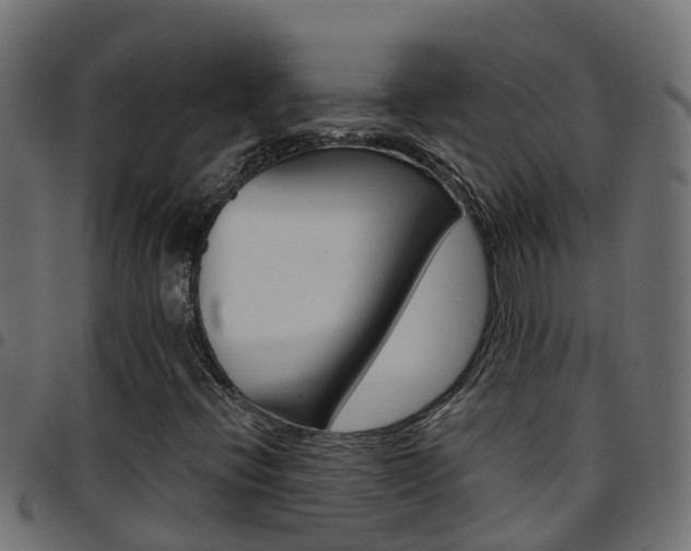 X0000097791396200803070925