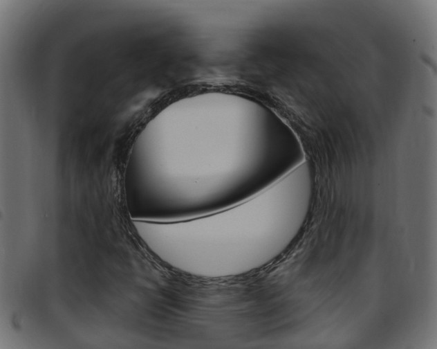 X0000097791398200803070925