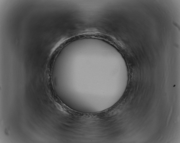 X0000097791400200803070925