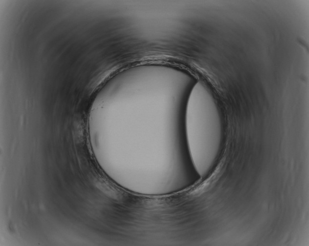 X0000097791401200803070925