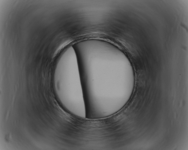 X0000097791402200803070925