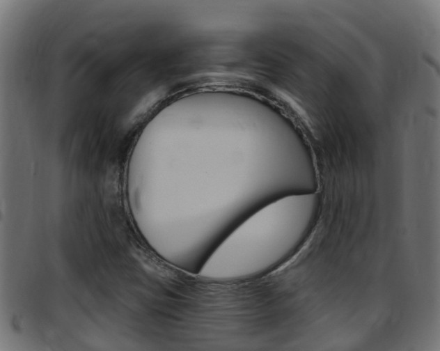 X0000097791403200803070925