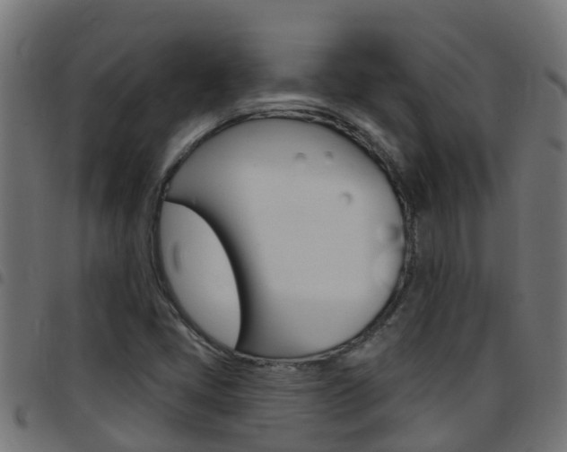 X0000097791405200803070925
