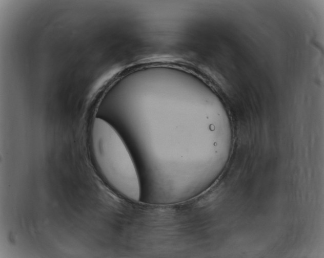 X0000097791406200803070925