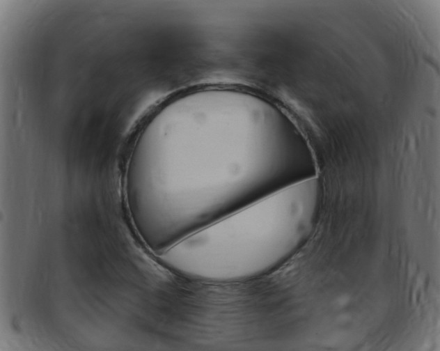 X0000097791408200803070925