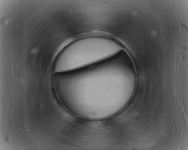 X0000097791410200803070925